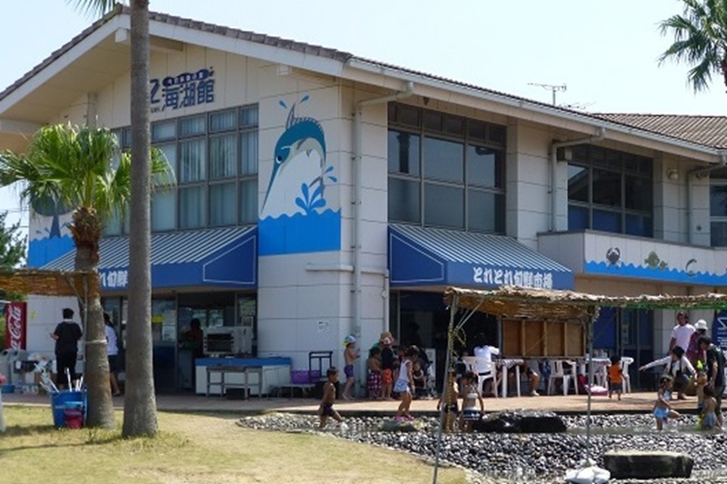 海湖館